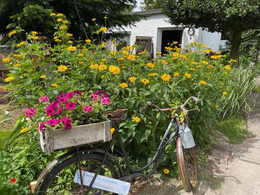 Tiny House Ostsee # Naturwerk Pruchten المظهر الخارجي الصورة