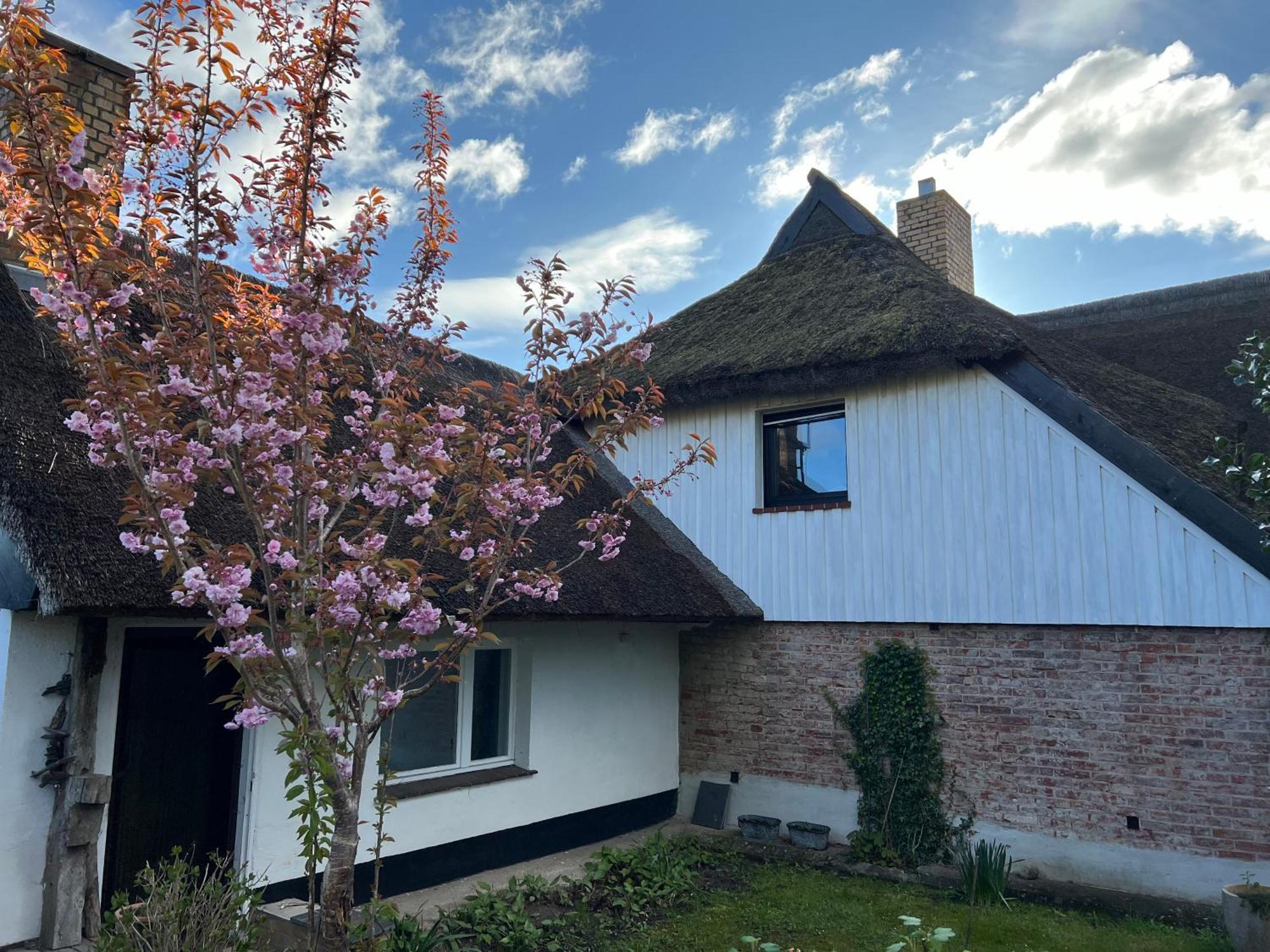 Tiny House Ostsee # Naturwerk Pruchten المظهر الخارجي الصورة